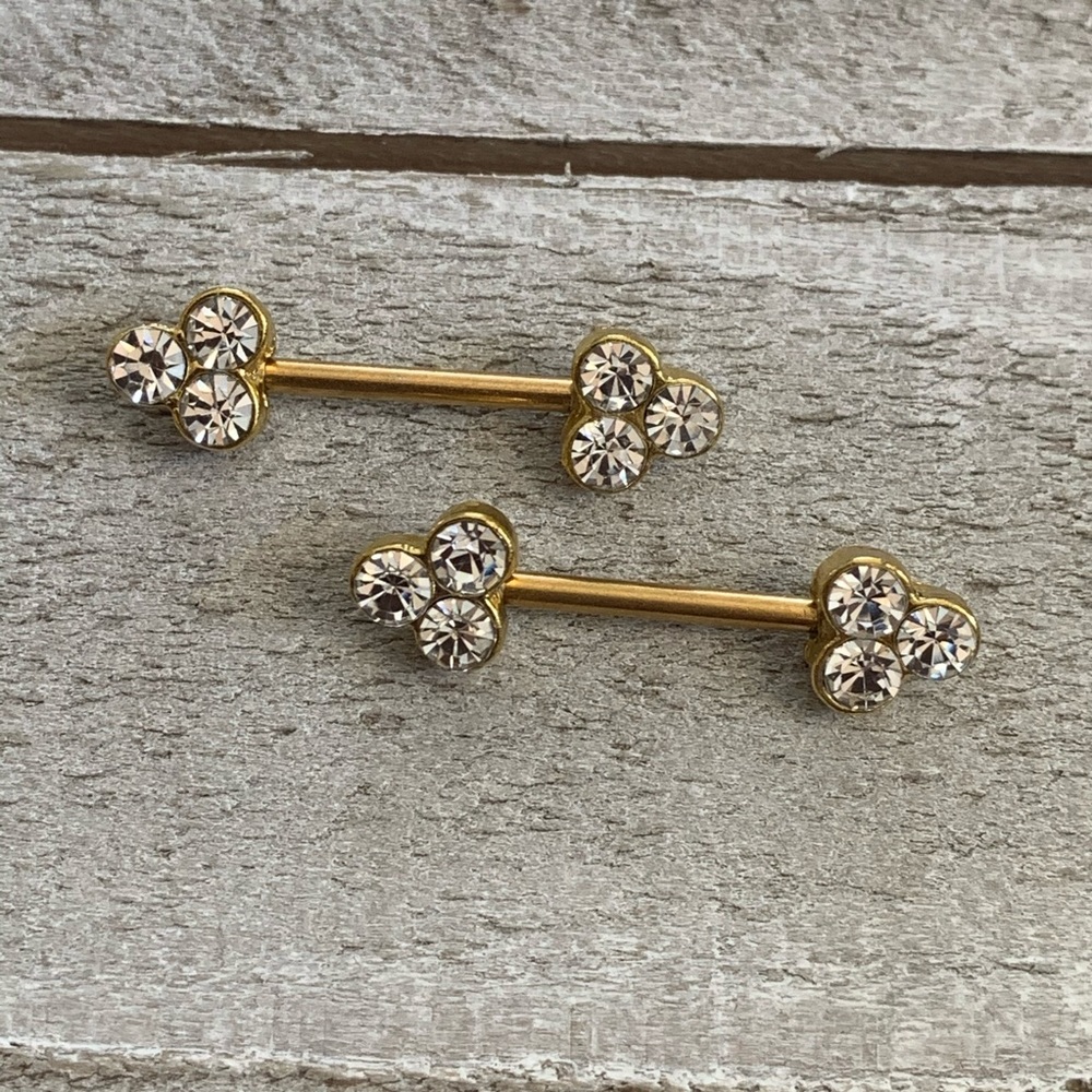 Gold Plated 14G Barbell Set